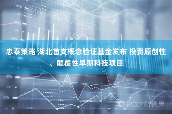 忠泰策略 湖北首支概念验证基金发布 投资原创性、颠覆性早期科技项目