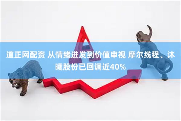 道正网配资 从情绪迸发到价值审视 摩尔线程、沐曦股份已回调近40%