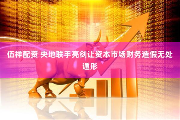 伍祥配资 央地联手亮剑让资本市场财务造假无处遁形